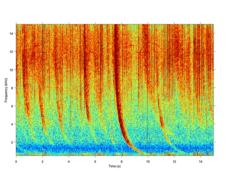 Fil:VLF whistler.png