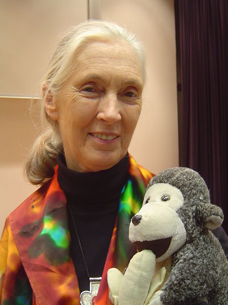 Fil:Jane Goodall HK.jpg