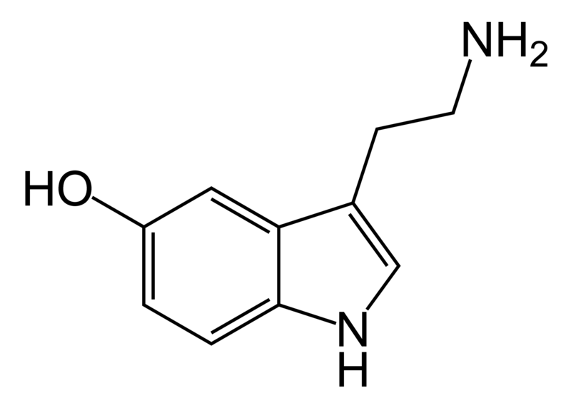 Fil:Serotonin-skeletal.png