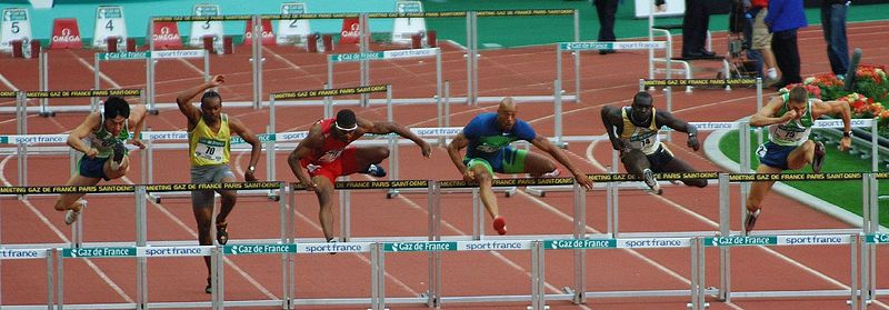 Fil:110 m hurdles.jpg