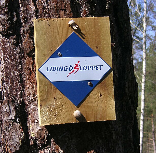 Fil:Lidingo loppet 2008.jpg