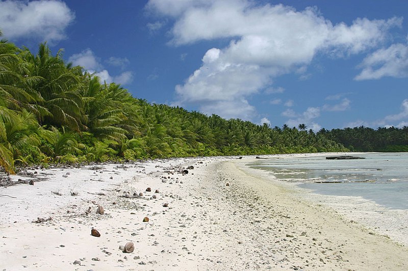 Fil:PalmyraNorthBeach.jpg