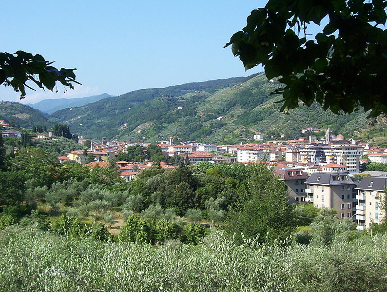 Fil:Pescia view hill.jpg