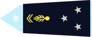 Fil:Général division gend.svg