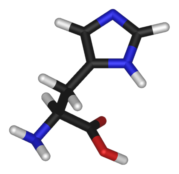 Fil:L-histidine-3D-sticks.png