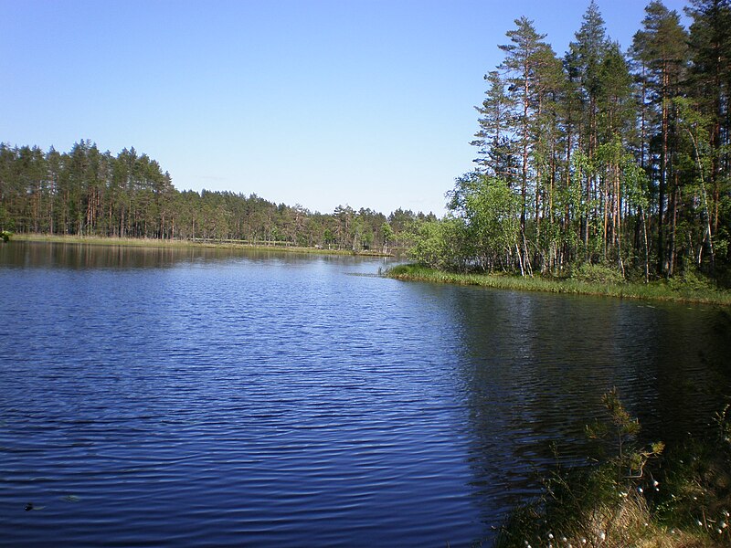Fil:Lake Kirkaslampi at Seitseminen NP.jpg