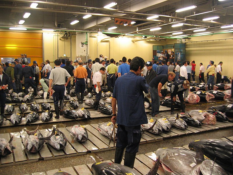 Fil:Tsukiji Fresh Tuna Auction.JPG