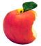 Äpplet, symbol för kunskap.