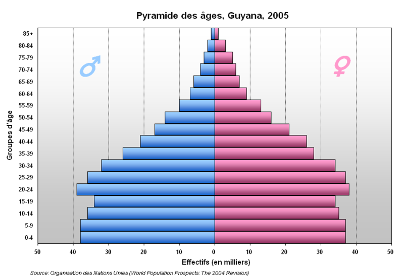 Fil:Pyramide Guyana.PNG
