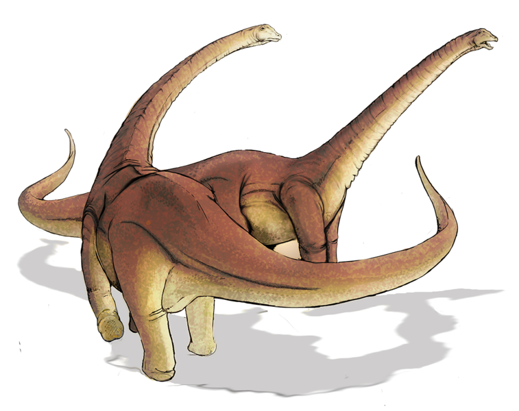 Fil:Alamosaurus sanjuanensis dinosaur.png