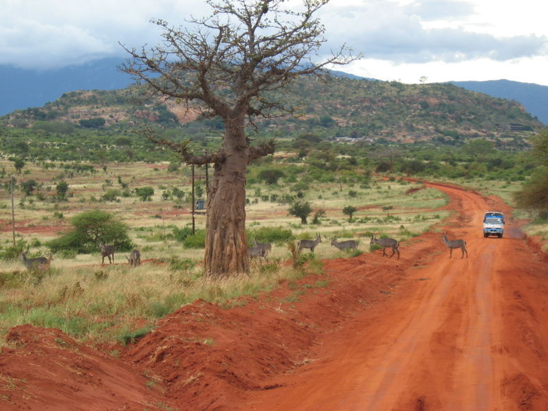 Fil:African safari route.jpg
