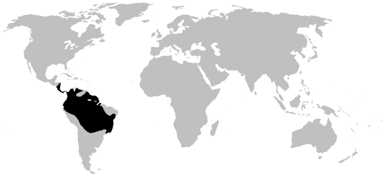 Fil:Dendrobatidae range.PNG