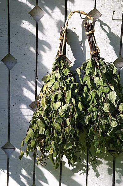 Fil:Finnish Vasta (Vihta).jpg