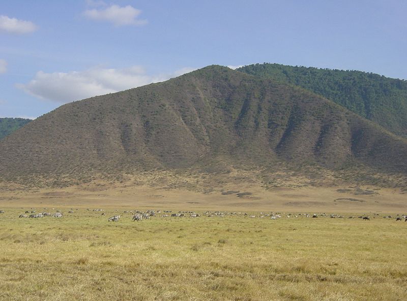 Fil:Ngorongoro-Crater-animals.jpg