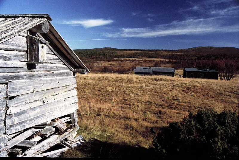 Fil:Henvålens naturreservat Kläppen.jpg