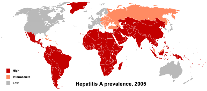 Fil:HAV prevalence 2005.png
