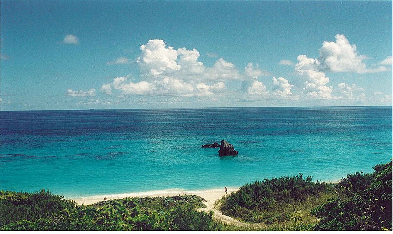Fil:Bermuda beach2.jpg