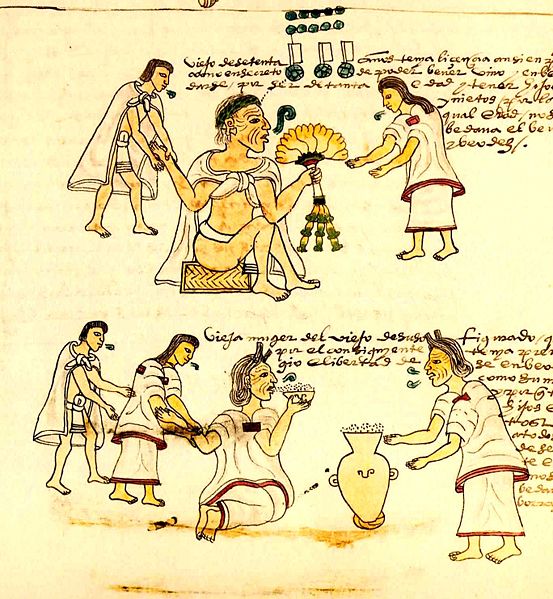 Fil:Aztec5figure9.jpg