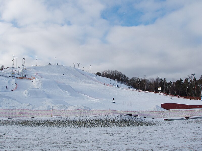 Fil:Ekholmsnäsbacken feb 2009.jpg