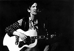 Townes Van Zandt 1995