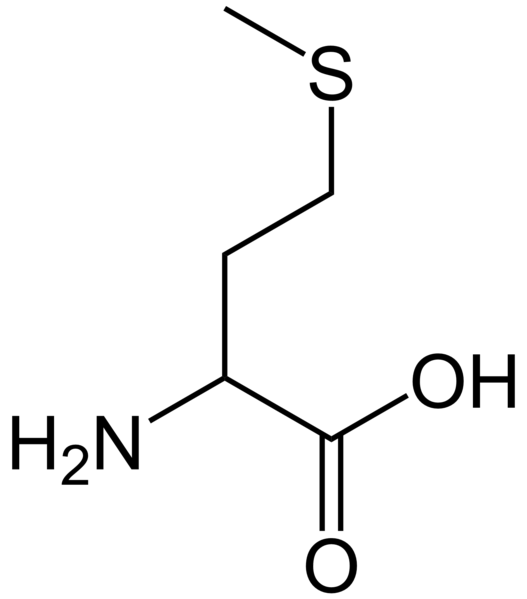 Fil:Methionine simple.png