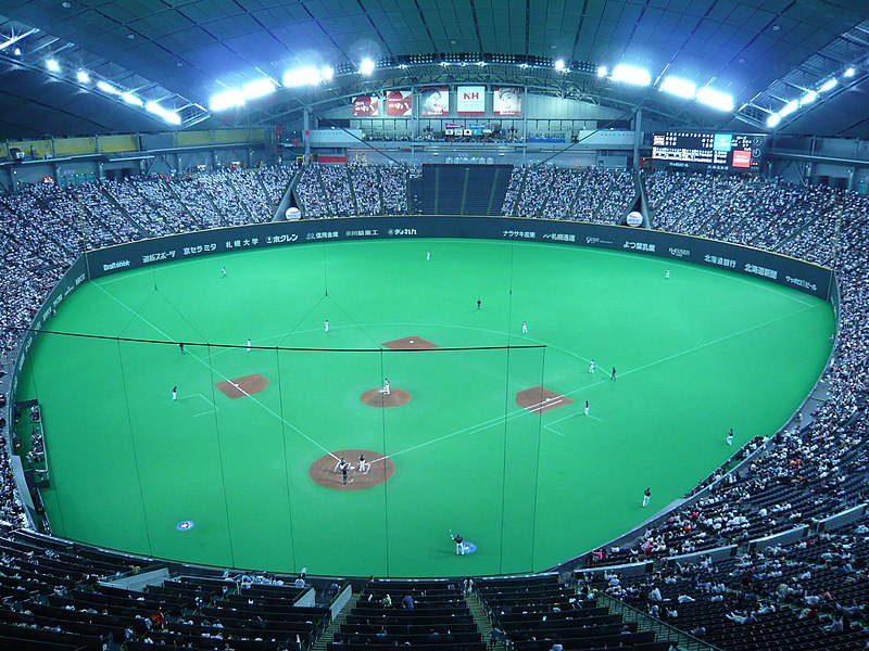 Fil:Sapporo dome view from seats.jpg