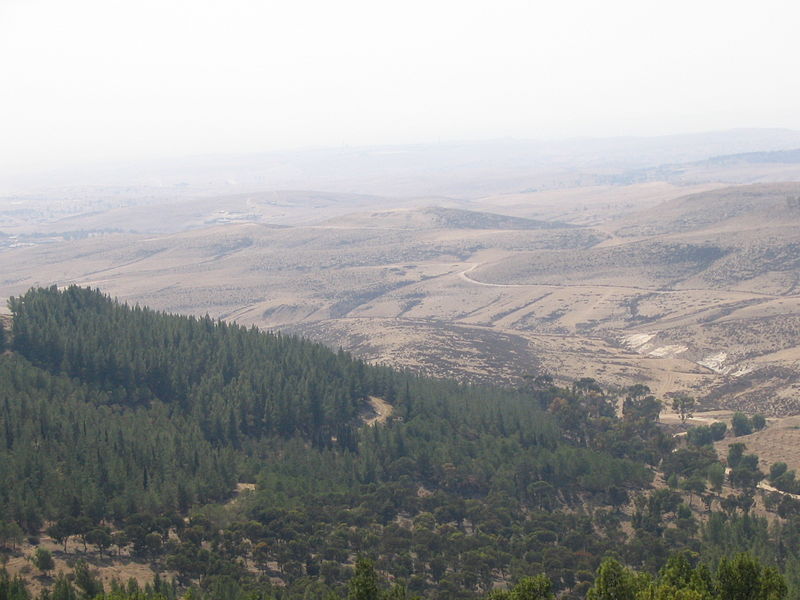 Fil:Yatir Forest, Israel no.1.jpg