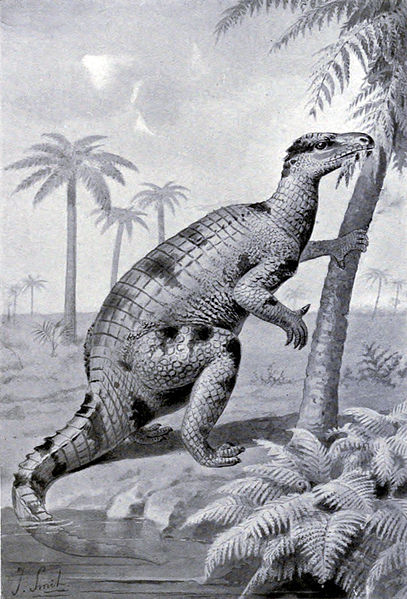 Fil:Iguanodon feeding.jpg