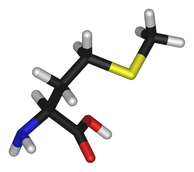 Fil:L-methionine-3D-sticks.png