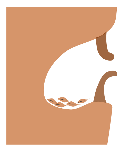 Fil:NuthatchNest.svg