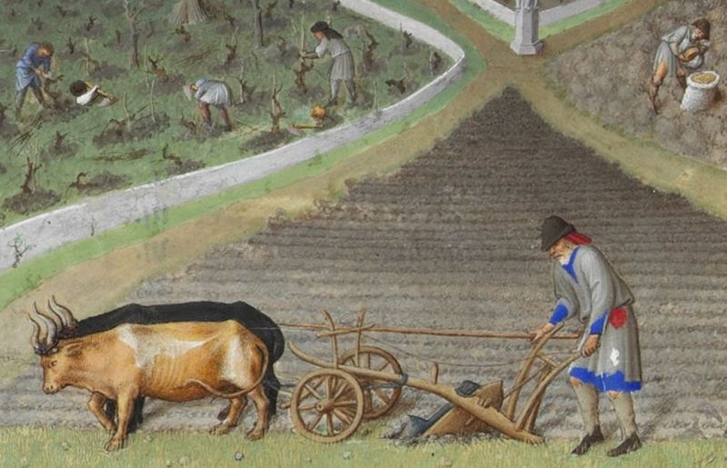 Fil:Detail of Les tres riches heures - March.jpg