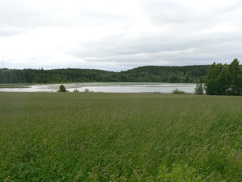 Fil:Karlslundstjärnen.JPG