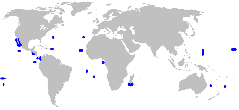 Fil:Carcharhinus galapagensis distmap.png