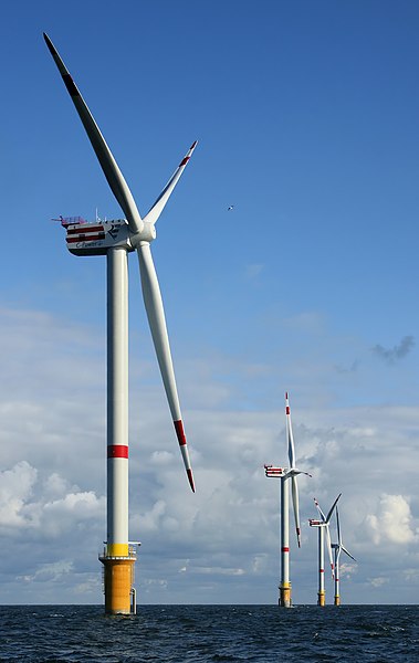 Fil:Windmills D1-D4 - Thornton Bank.jpg