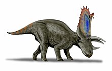 Illustration av Pentaceratops.