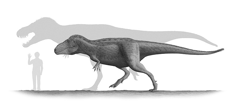 Fil:Tarbosaurus Steveoc86.jpg