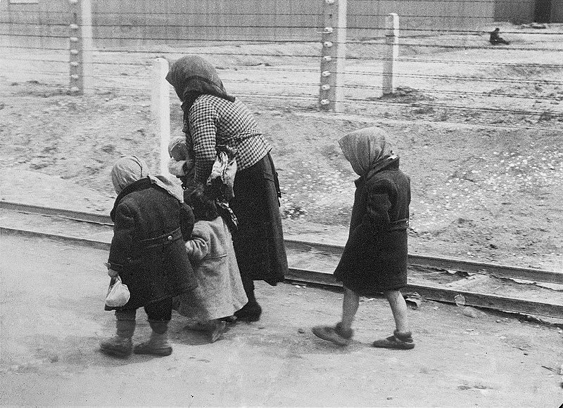 Fil:Bundesarchiv Bild 183-74237-004, KZ Auschwitz-Birkenau, alte Frau und Kinder.jpg